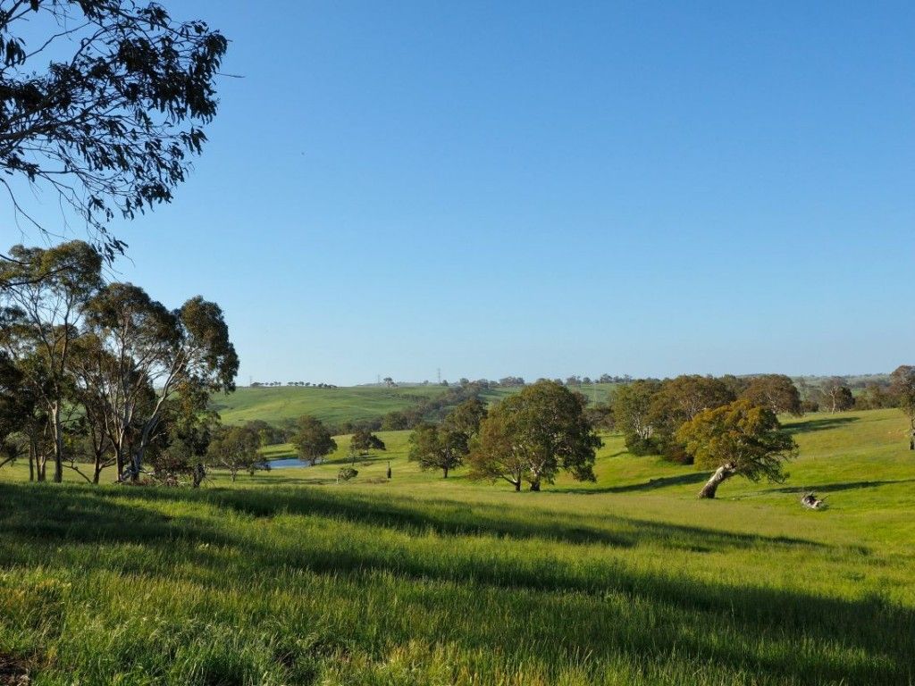 Lot 14/299 Collins Road, Tungkillo SA 5236, Image 0