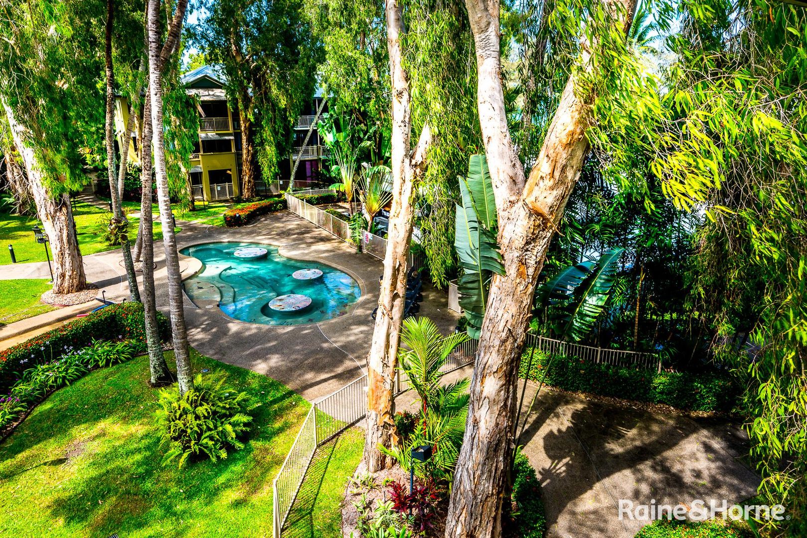 536/49 Williams Esplanade, Palm Cove QLD 4879, Image 1