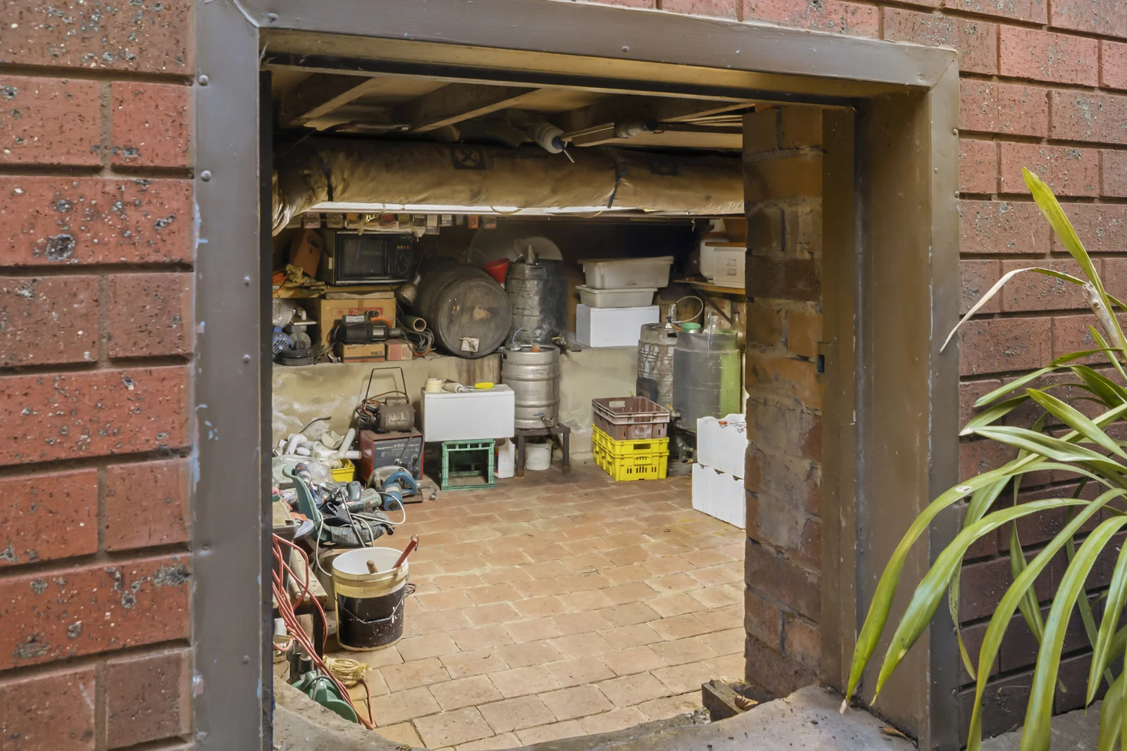 Image 20