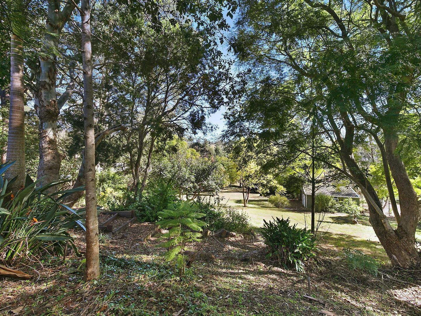 16 Grey Gums Drive, Blue Mountain Heights QLD 4350, Image 2