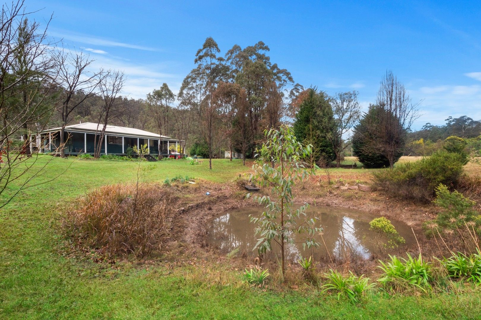 1272 Putty Valley Road, Putty NSW 2330, Image 0
