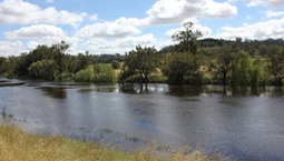Picture of 'Fernlee' 557 Pindari Dam Rd, ASHFORD NSW 2361