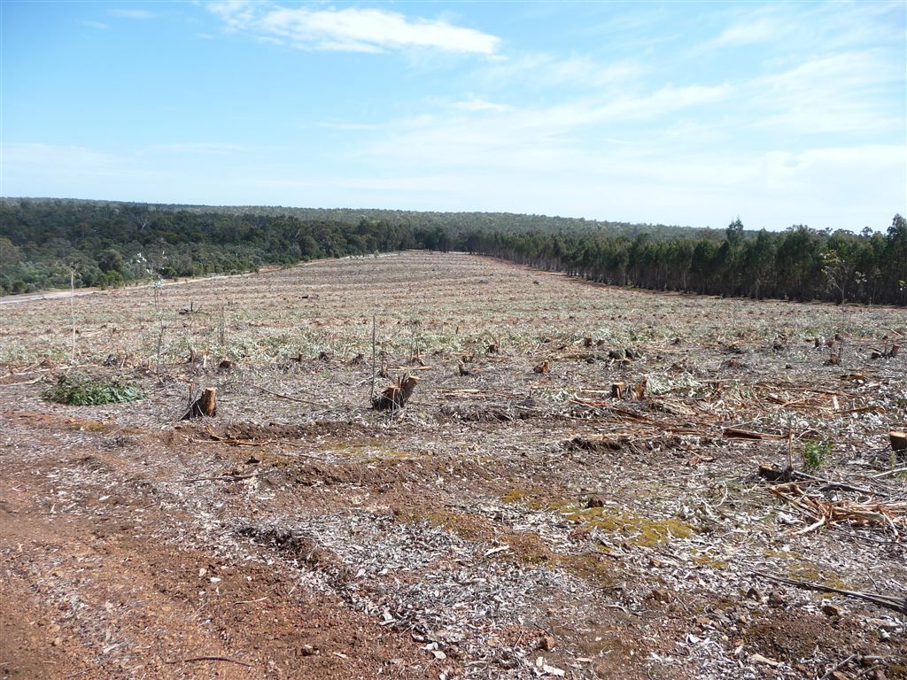 ' Booths', Manjimup WA 6258, Image 0