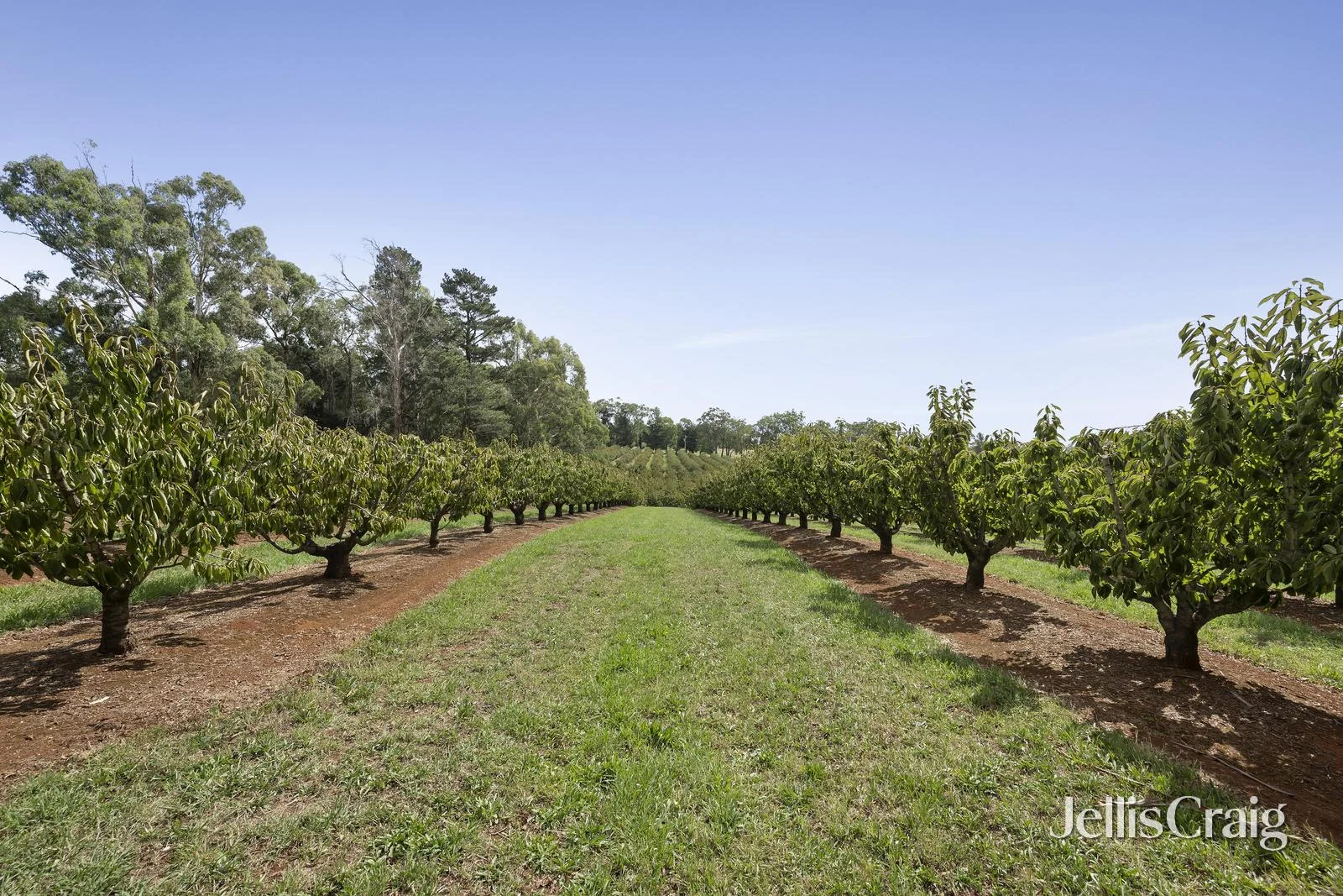 Additional image 23 of 56 Monbulk-Seville Road, Seville VIC 3139