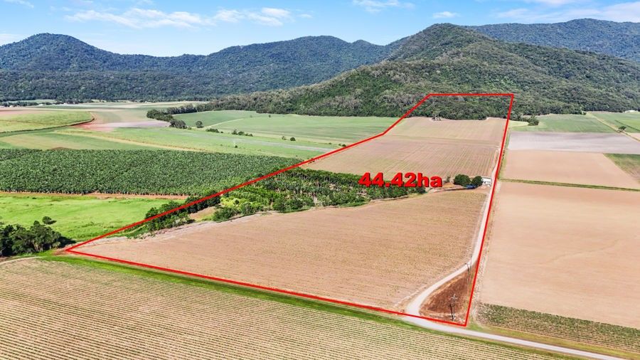 Lot 1 Morgan Road, Gordonvale QLD 4865, Image 2