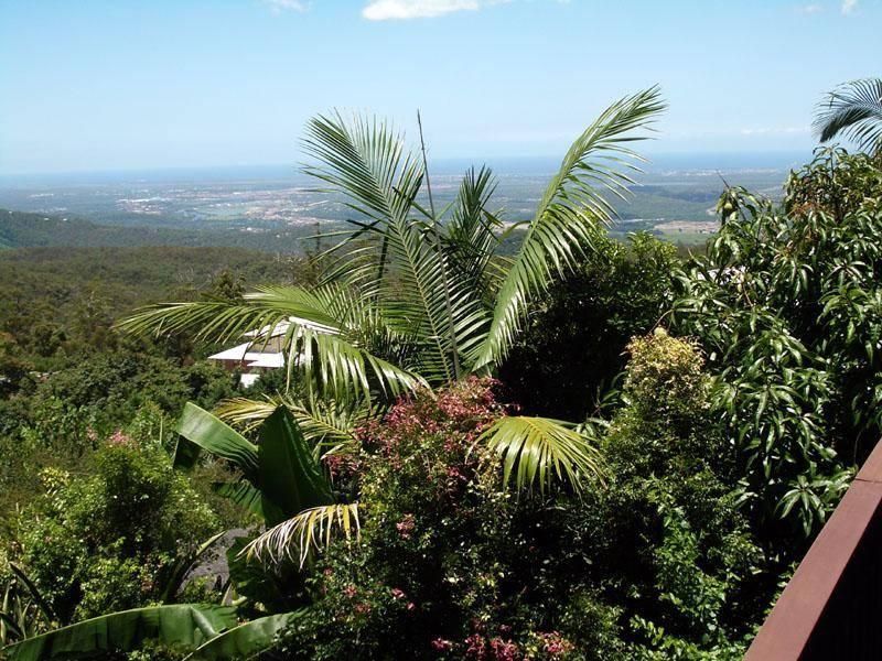 35 Witherby Crescent, Tamborine Mountain QLD 4272