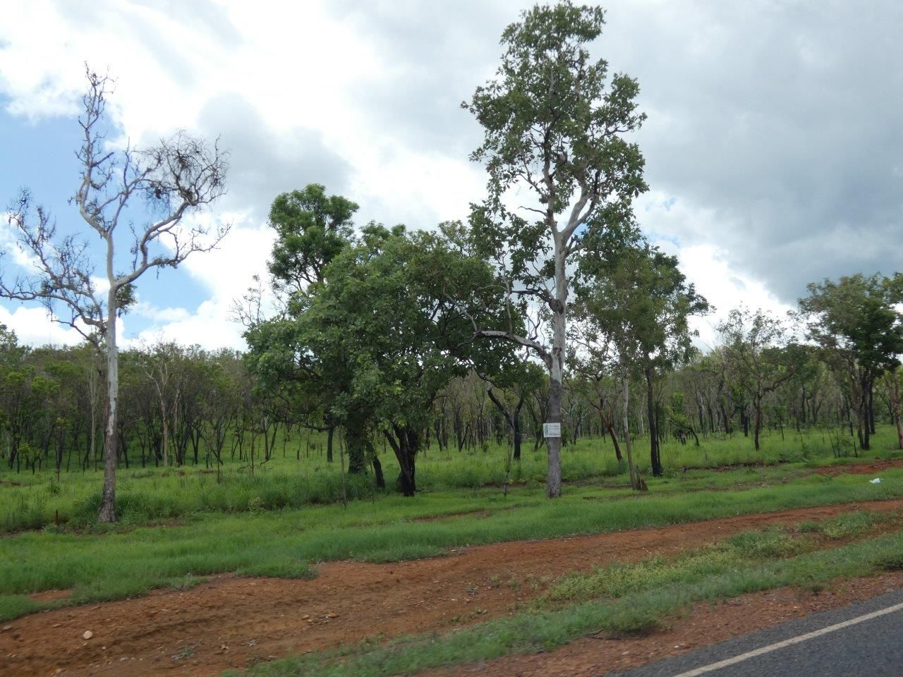 Lot 237 Stuart Highway, Coomalie Creek NT 0822, Image 1