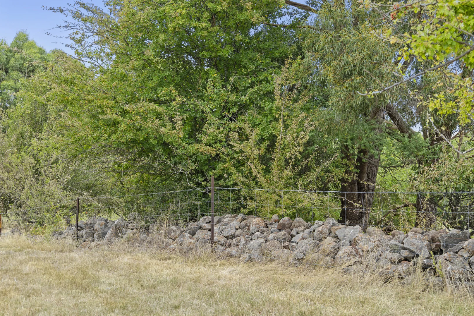 Image 13