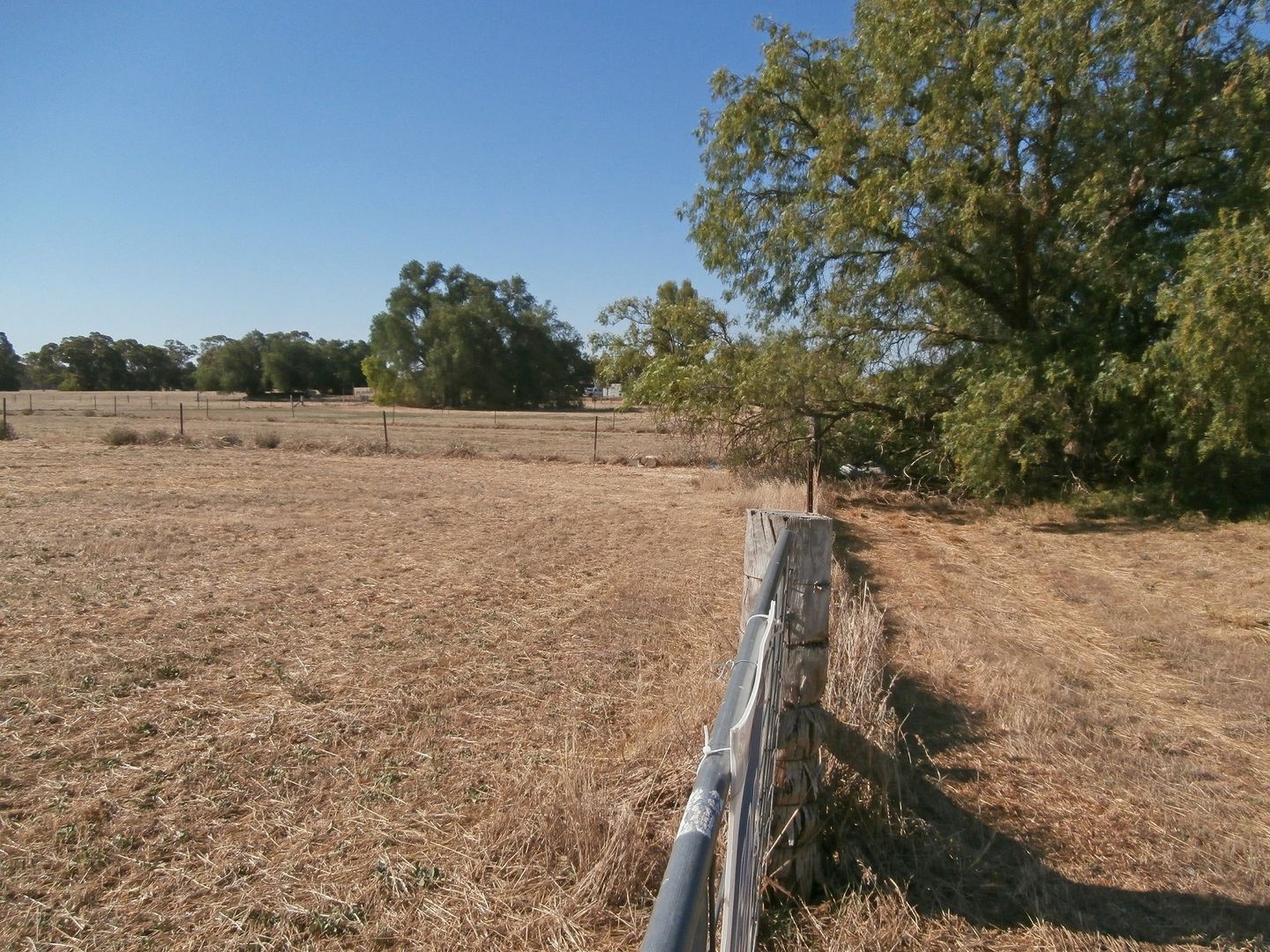 4, 5, 6 & 19 Burke Street, Newbridge VIC 3551 Domain