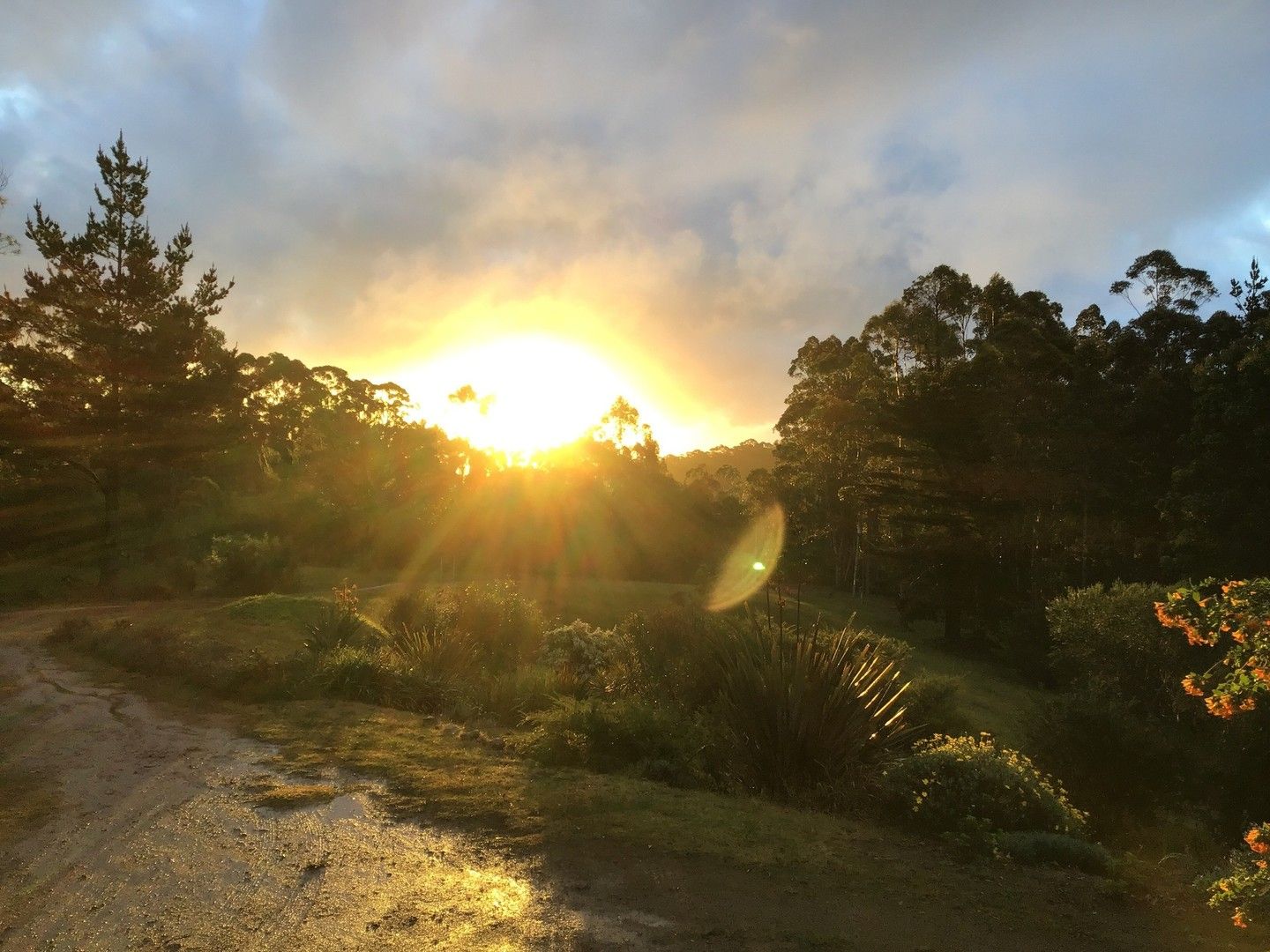4 bedrooms House in 12 Waterfall Place SHADFORTH WA, 6333