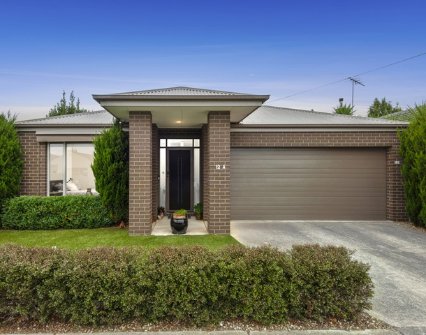 12A Knight Avenue, Herne Hill VIC 3218