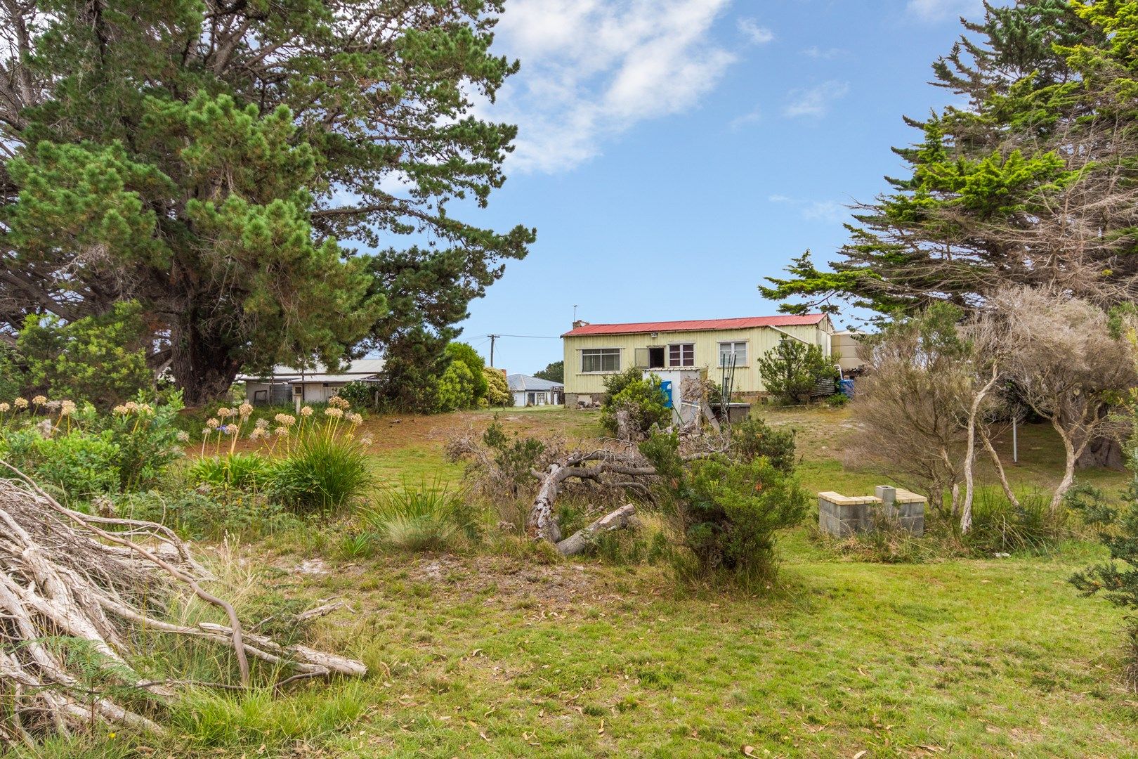 4 Davis Street, Beechford TAS 7252, Image 0