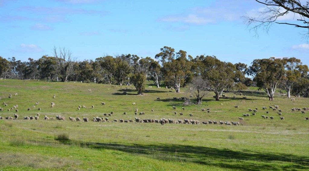 3584 Kings Highway Subdivision, Bungendore NSW 2621, Image 1