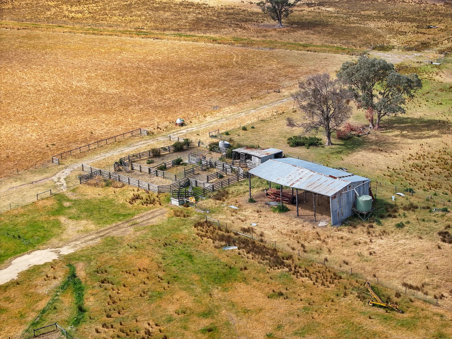 Image 13