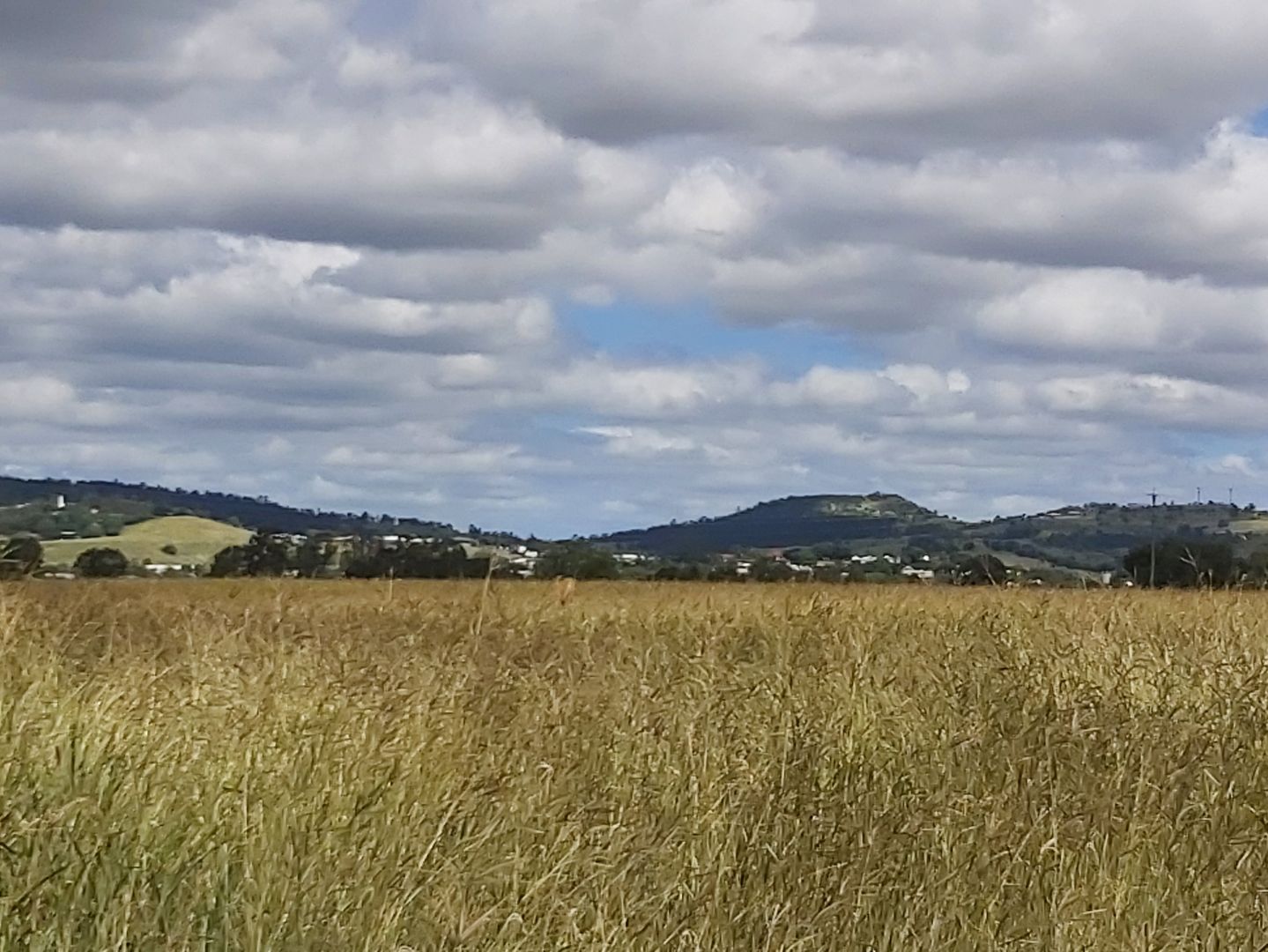 Patrick Estate QLD 4311, Image 1