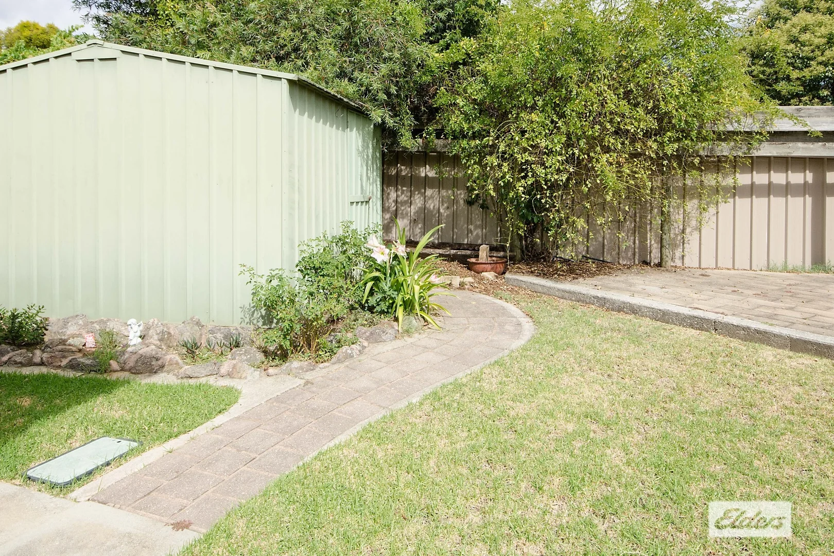 Image 8