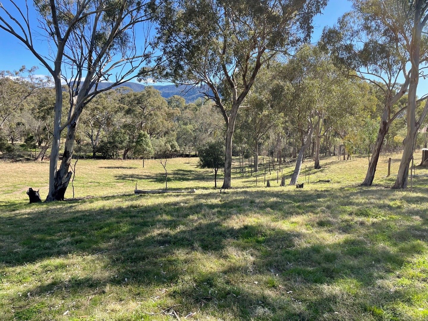 107 Doyles Creek Road, Doyles Creek NSW 2330, Image 0