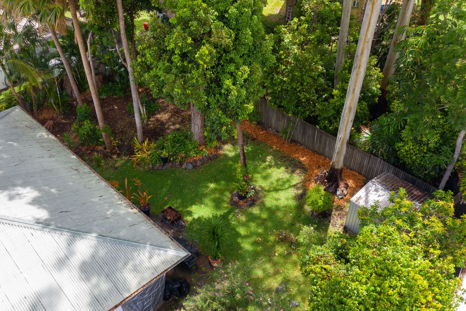 3 Laurina Court, Tewantin QLD 4565, Image 1