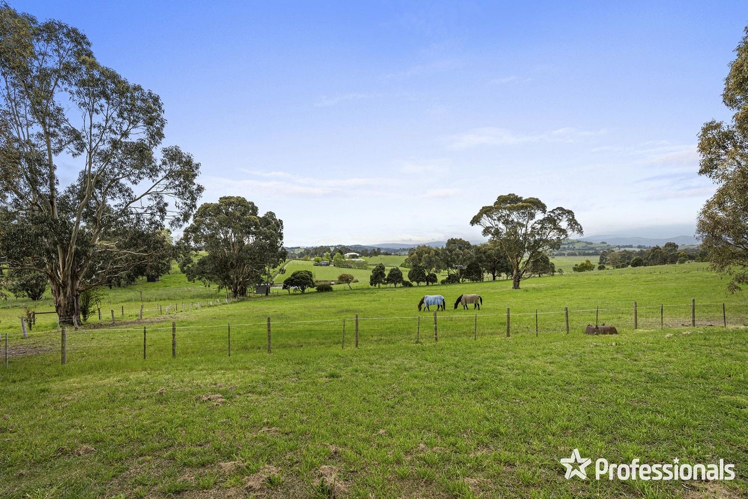 95 Forest Street, Yarra Glen VIC 3775, Image 2