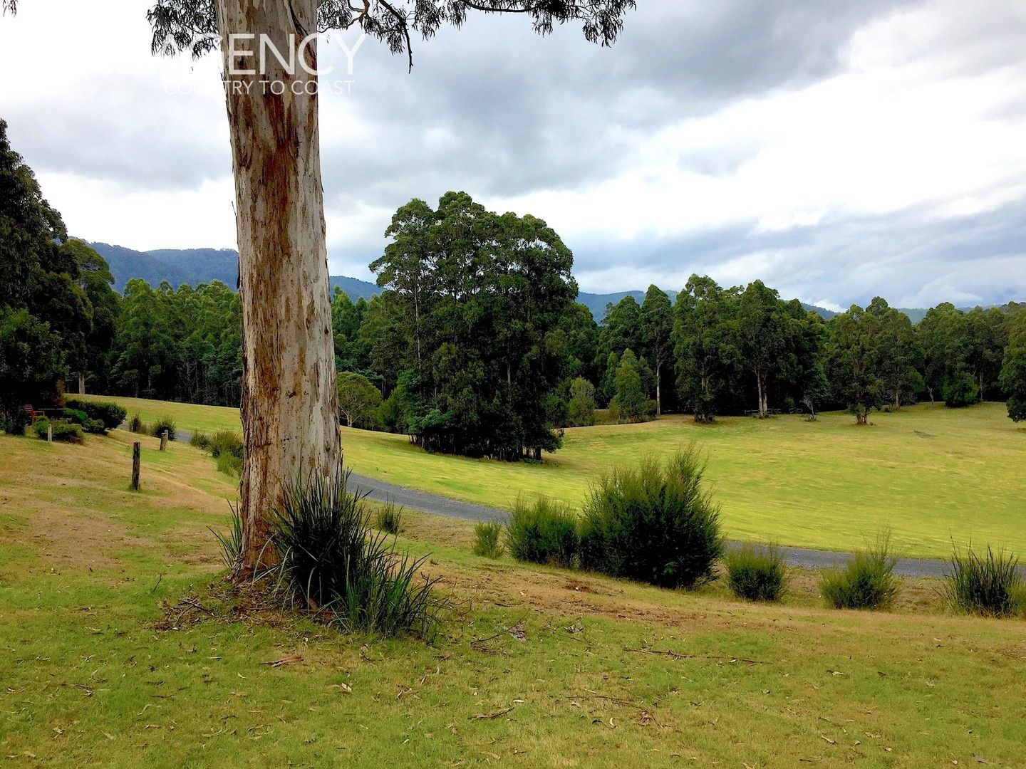 15/2260 Mt Baw Baw Tourist Road, Icy Creek VIC 3833, Image 0