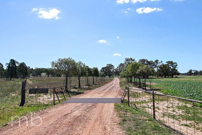 Picture of 966 Peak Hill Road, BALDRY NSW 2867