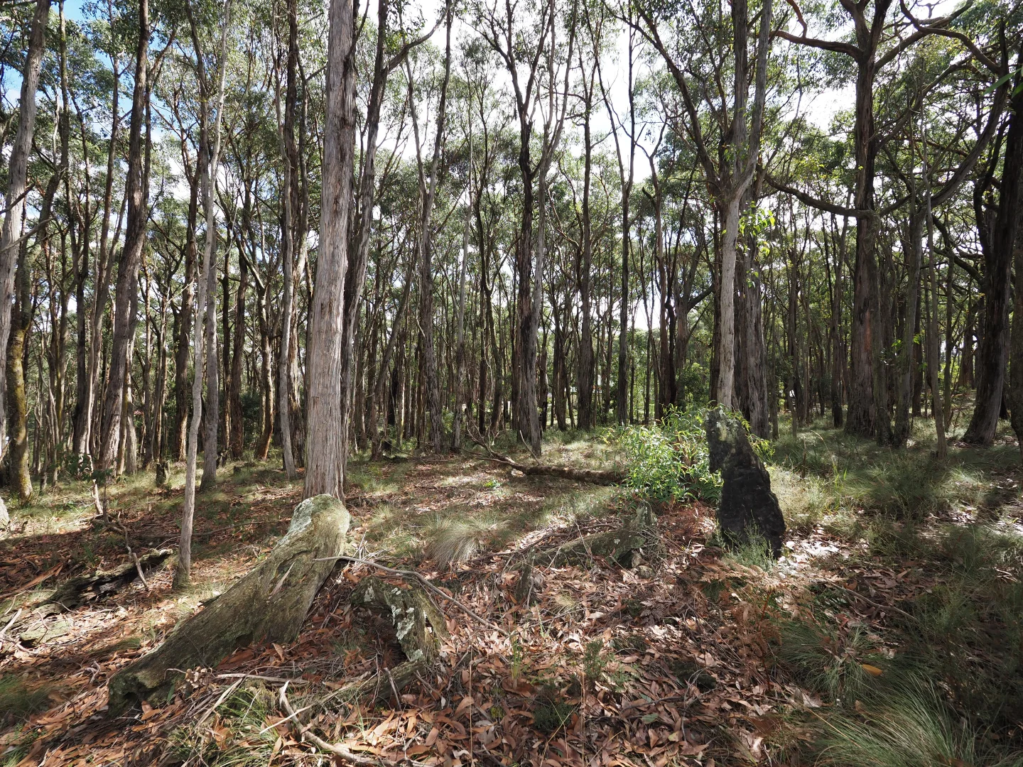 Image 10
