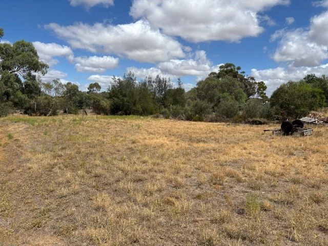 Image 8