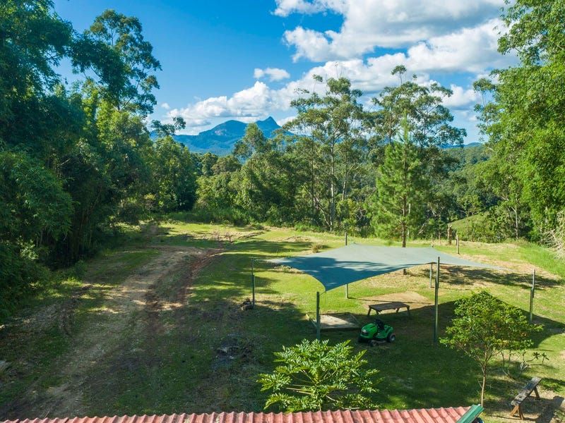 321 Mount Burrell Road, Mount Burrell NSW 2484 - House for Sale