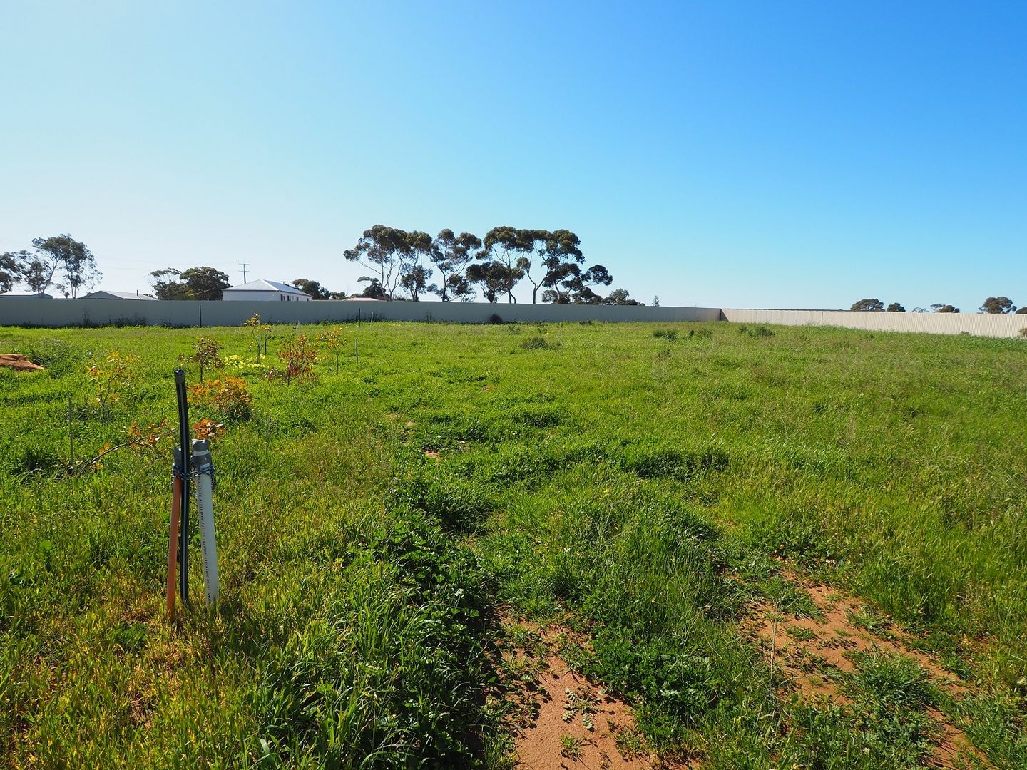 Lot 5 Hindmarsh Road, Murray Bridge SA 5253, Image 1