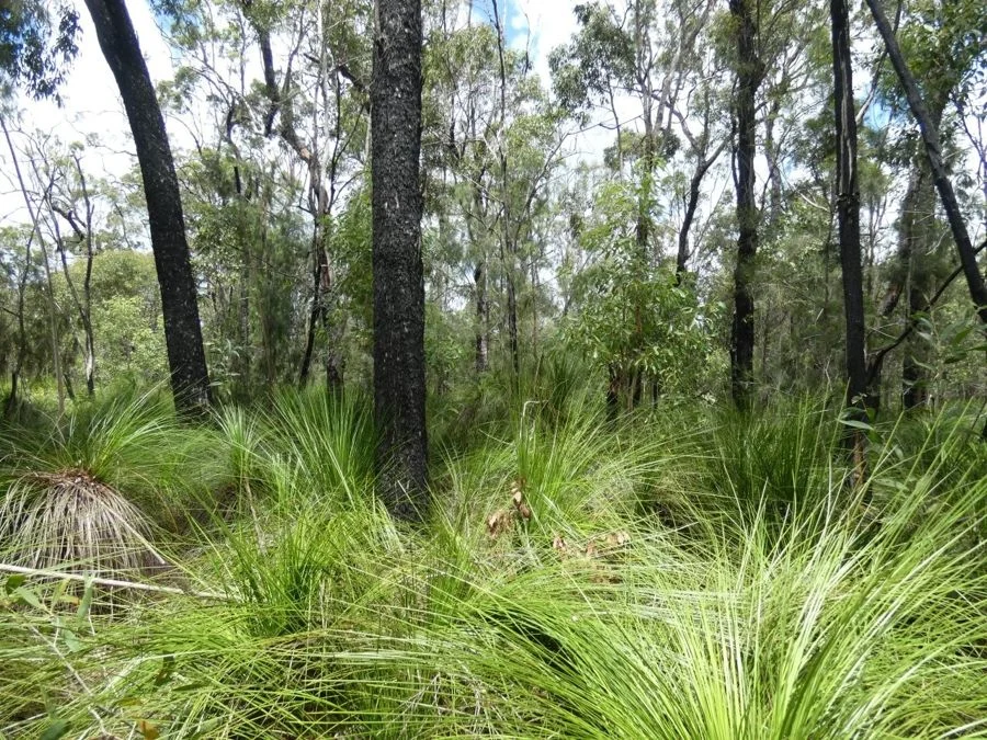 Additional image 18 of 960 Pacific Drive, Deepwater QLD 4674