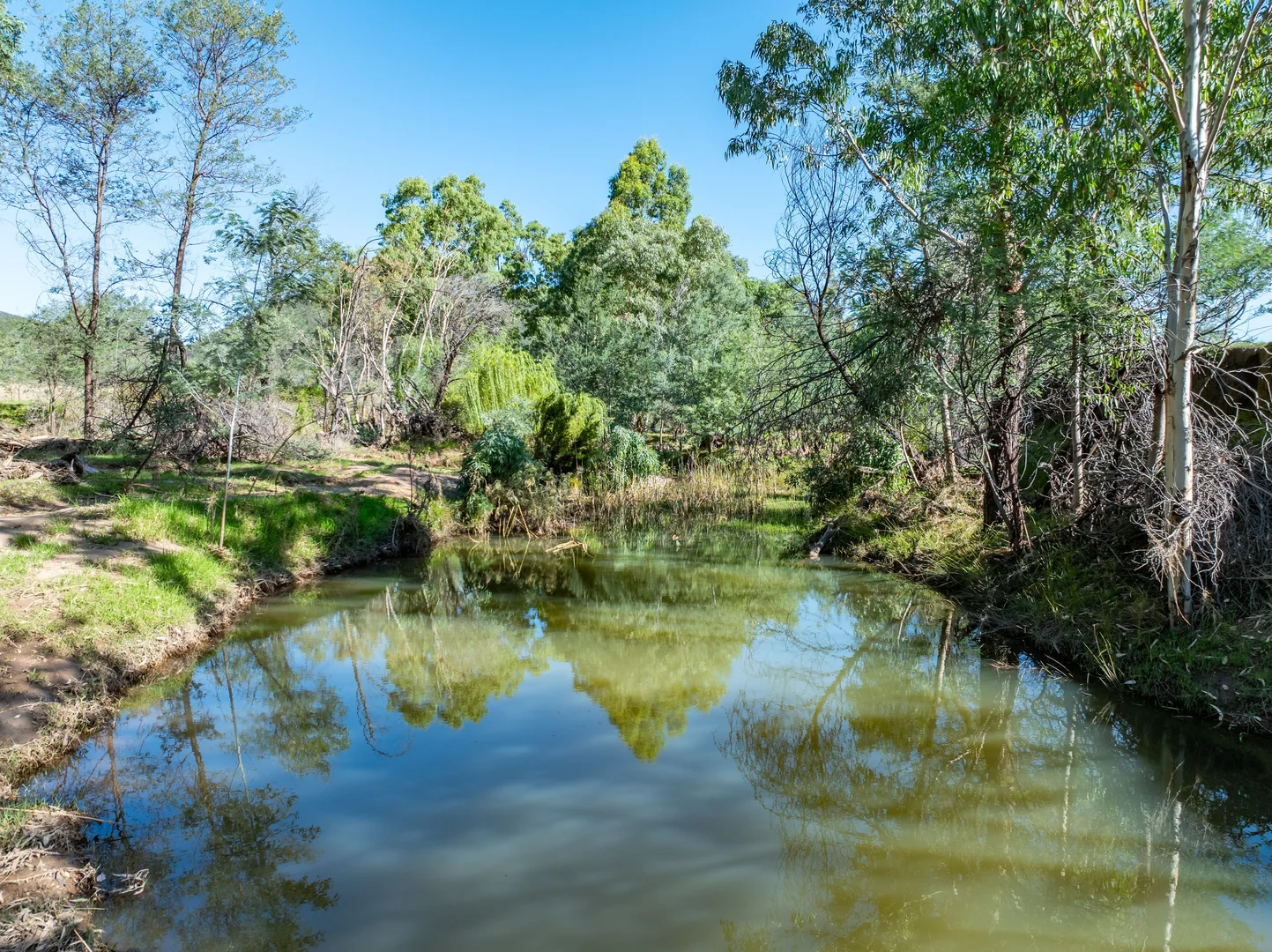 Additional image 26 of 1235 Kangarooby Road, Gooloogong NSW 2805