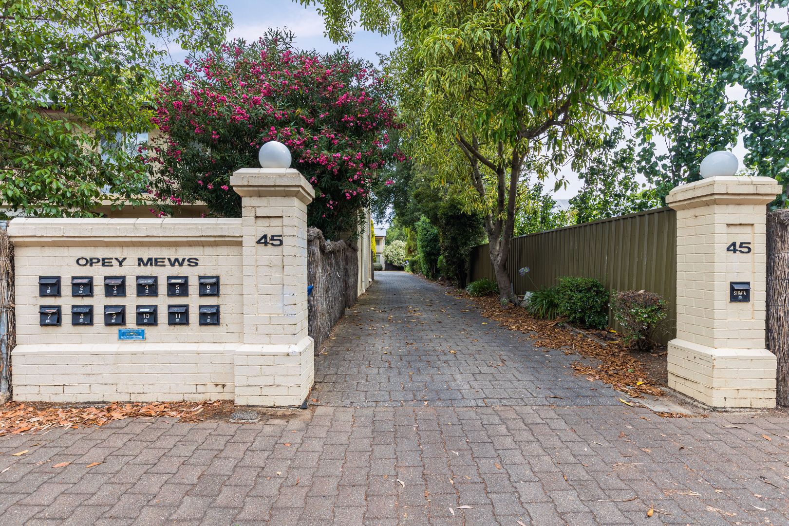 8/45 Opey Avenue, Hyde Park SA 5061, Image 1