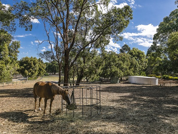 1 Catsbells Avenue, Bullsbrook WA 6084