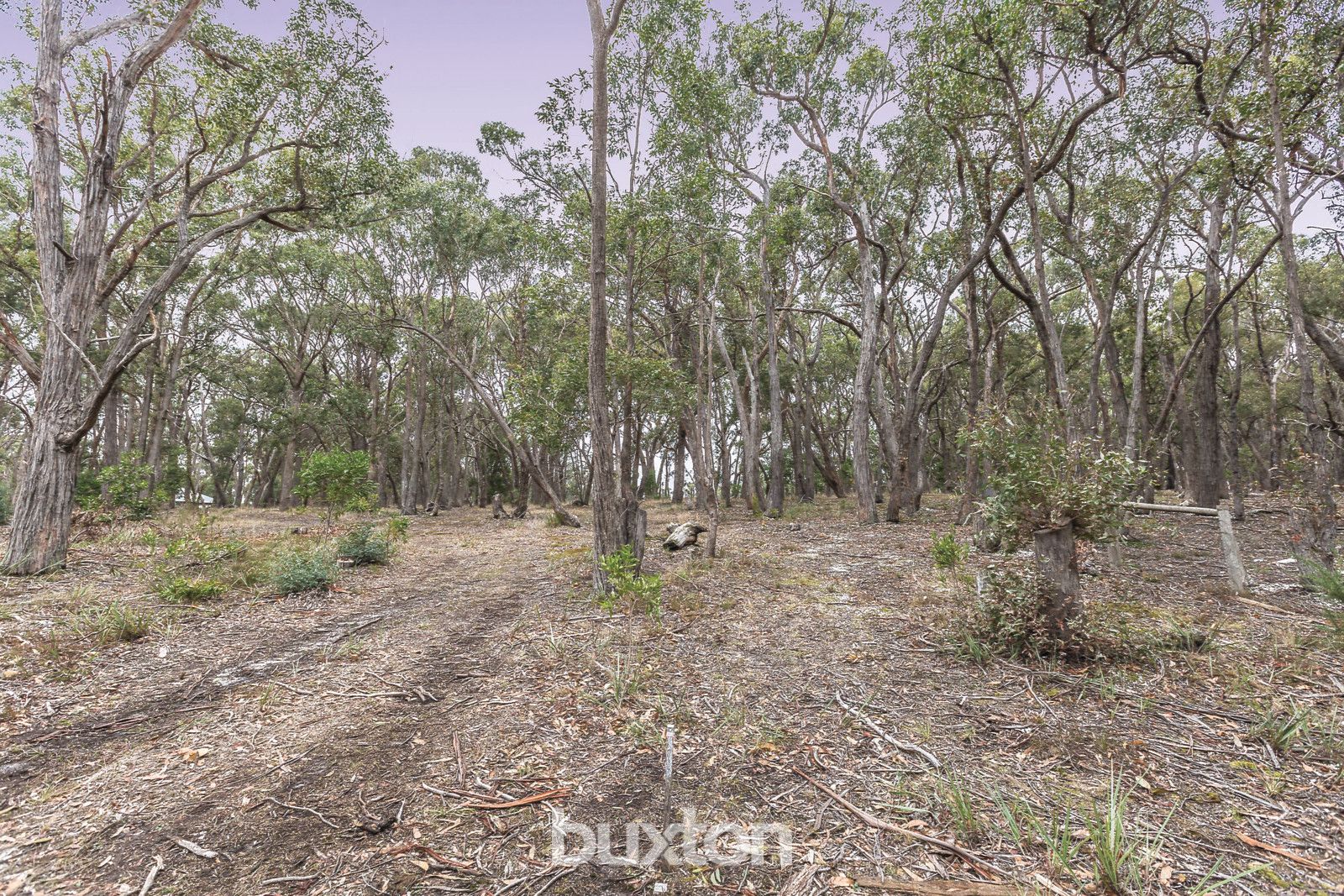 27 Sailors Gully Boulevard, Mount Clear VIC 3350, Image 2