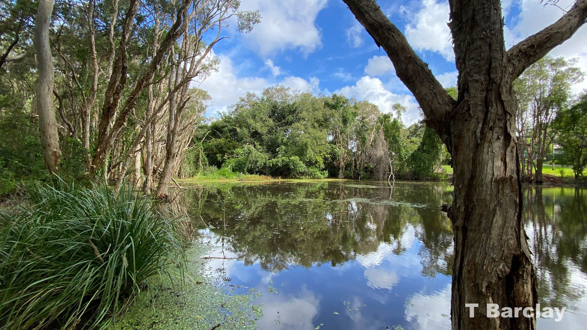 2628 Pier Haven, Lamb Island QLD 4184 Domain