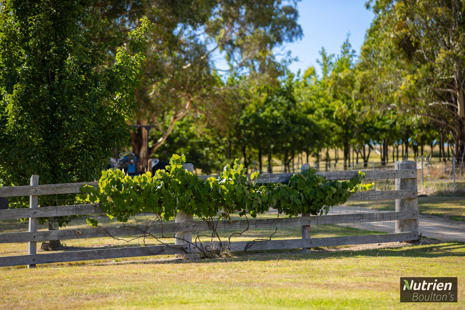 Image 12