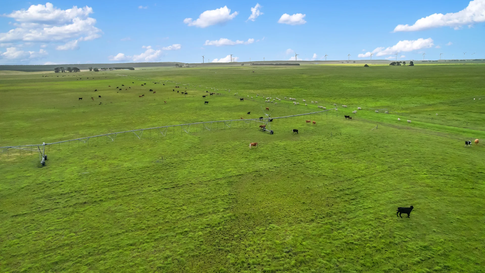 Additional image 12 of 80 German Creek Road, German Creek SA 5291