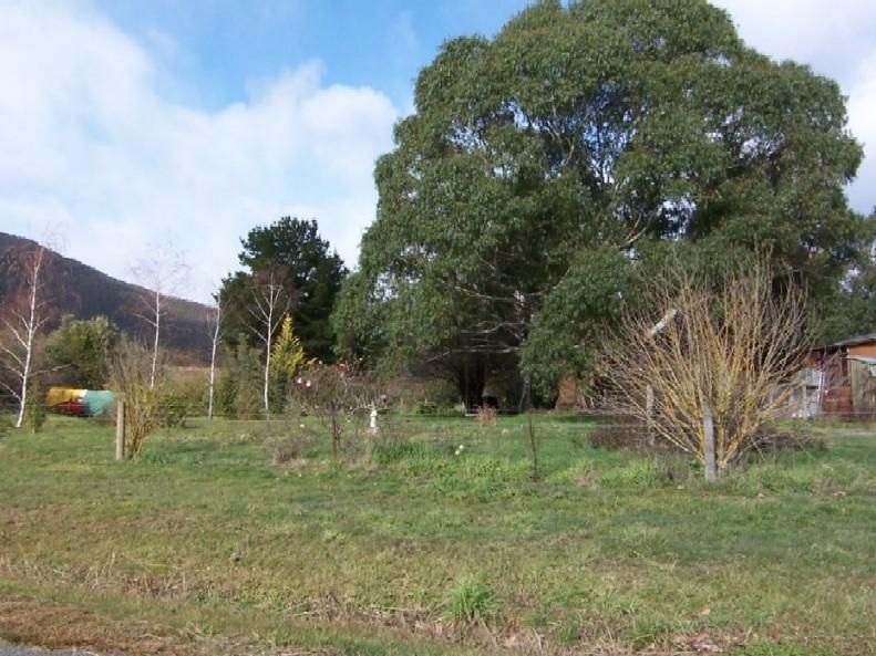 Lot 8 Newmans Lne, Harrietville VIC 3741, Image 0