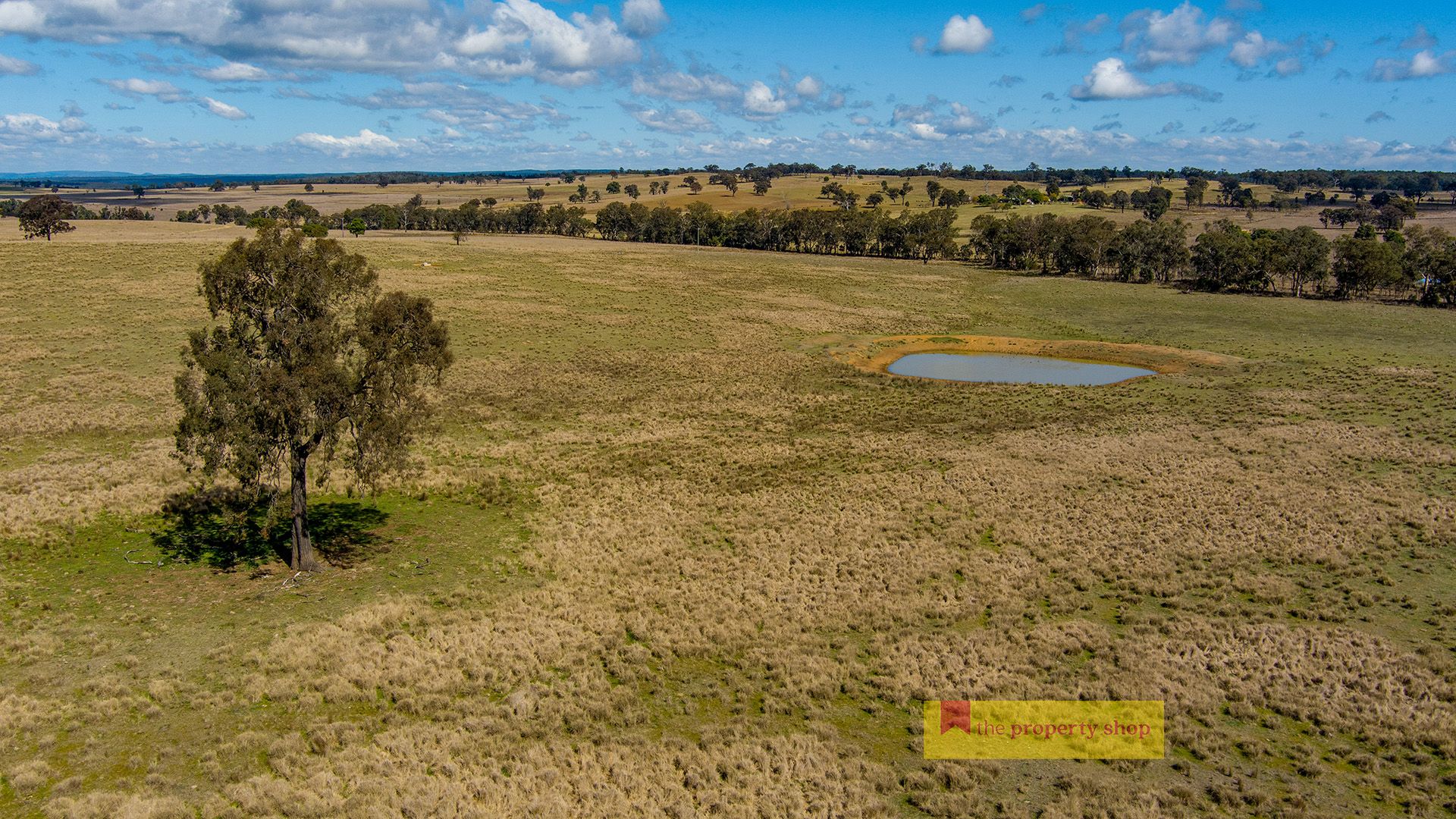 45 Neeleys Lane, Cassilis NSW 2329, Image 1