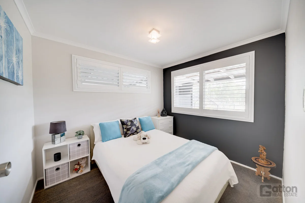Image 20