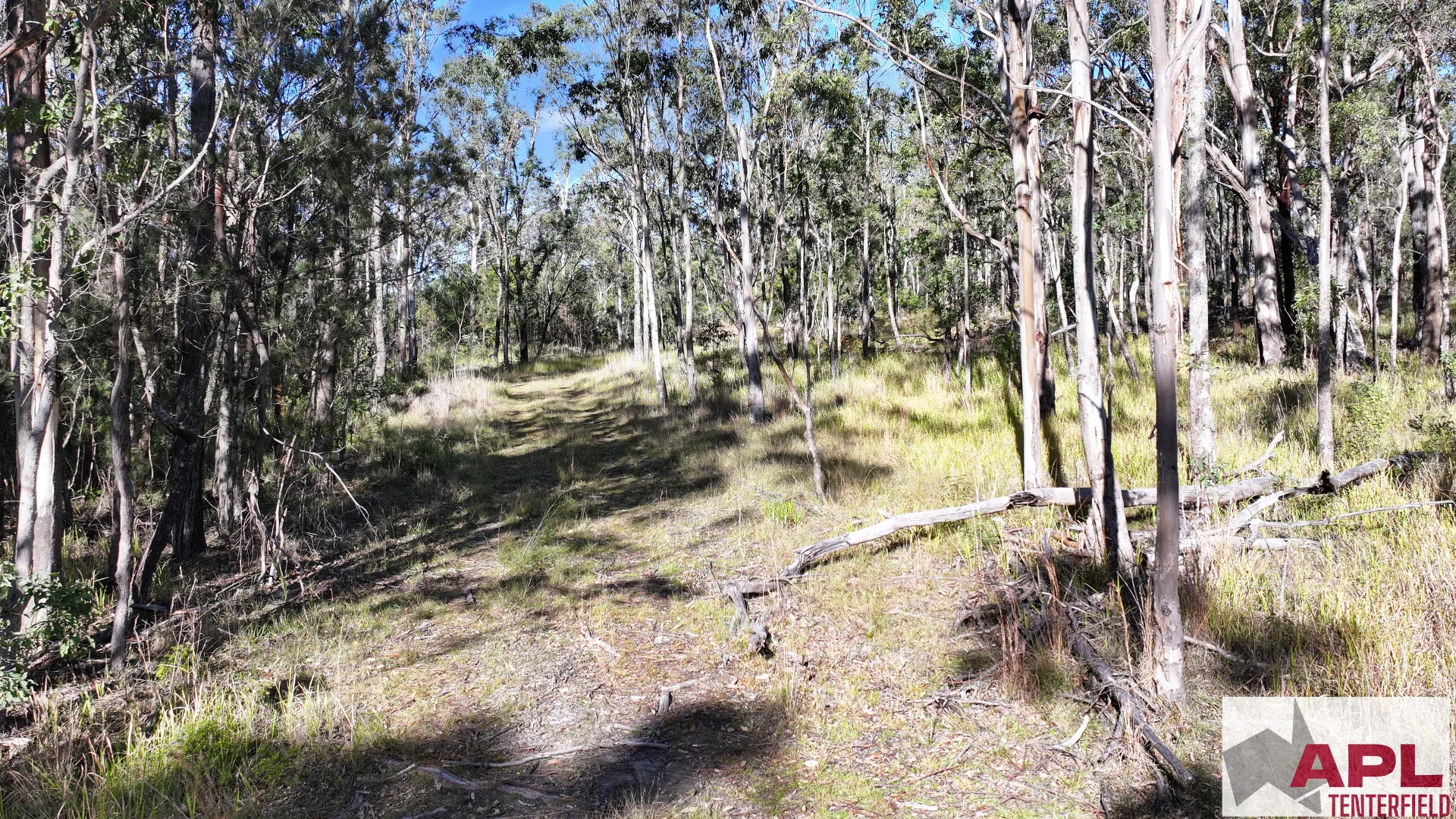 Image 35