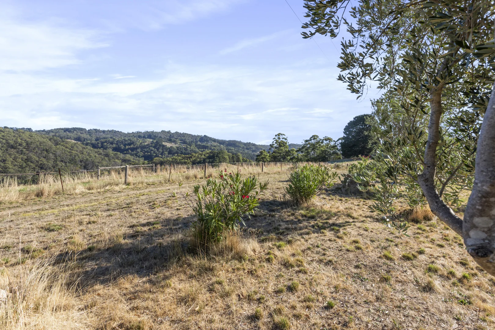 Additional image 5 of 261 Range Road, Basket Range SA 5138