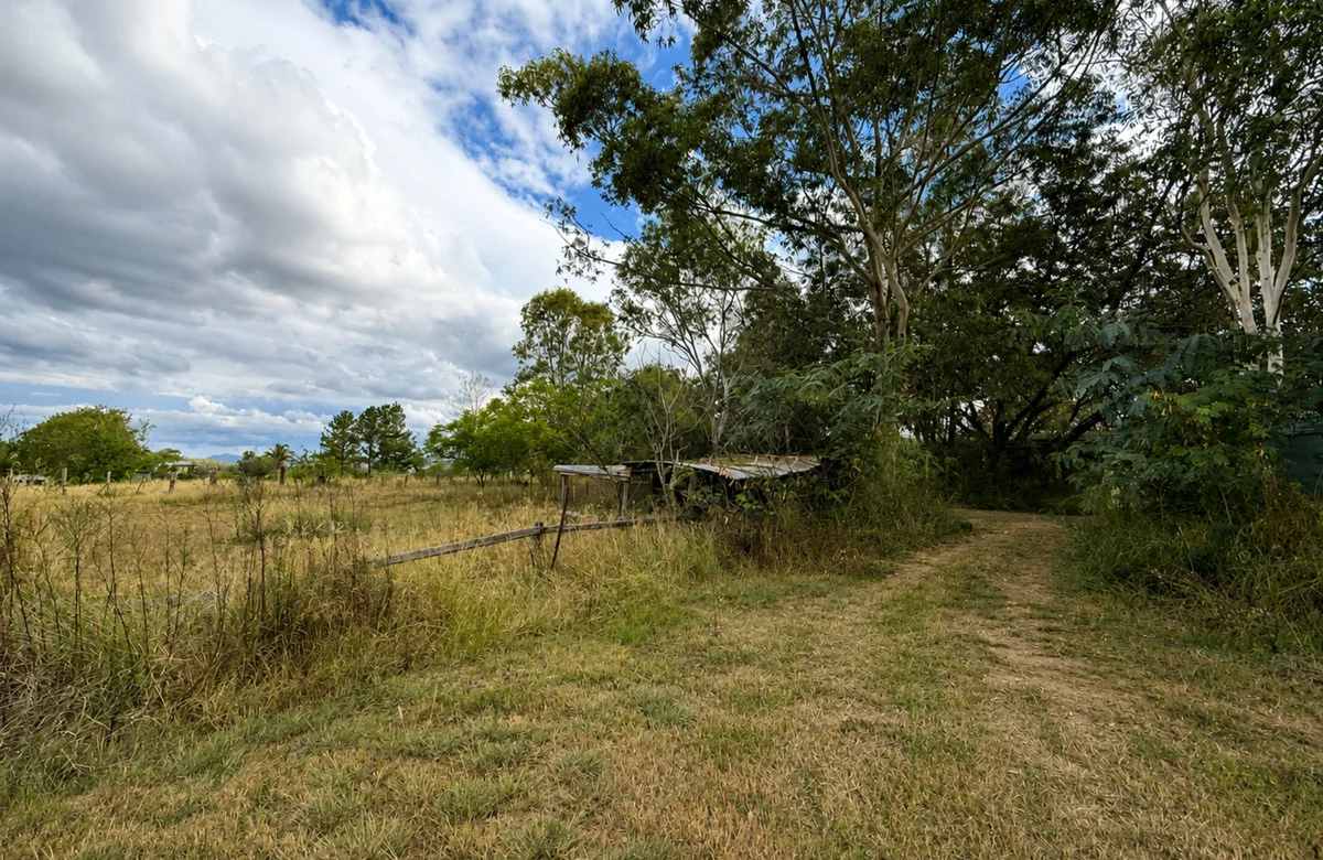 Image 15