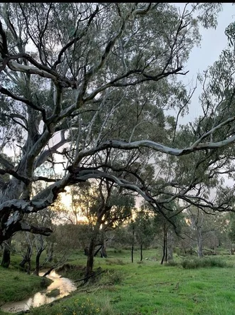 Additional image 21 of 580 The Bridle Track, Glenaroua VIC 3764