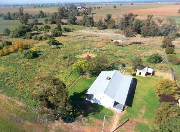 12 Gilmore Lane, Gooloogong NSW 2805