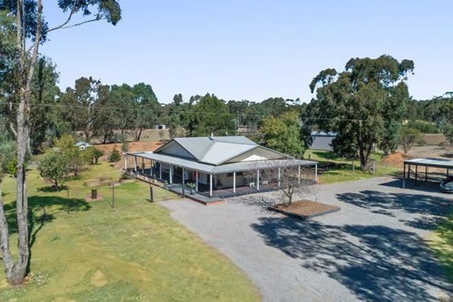 Picture of 100 Millers Flat Road, WHIPSTICK VIC 3556
