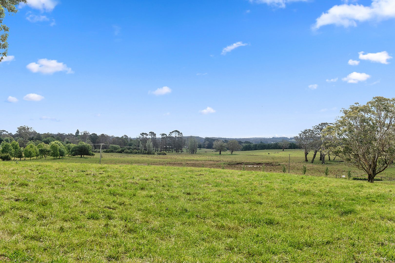 549 Ellsmore Road, Exeter NSW 2579, Image 2