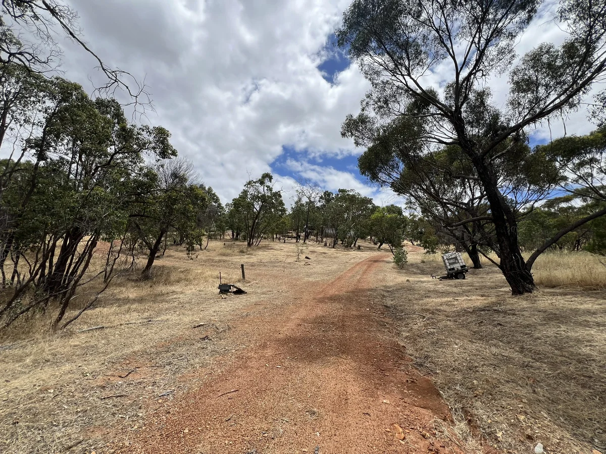 Image 37