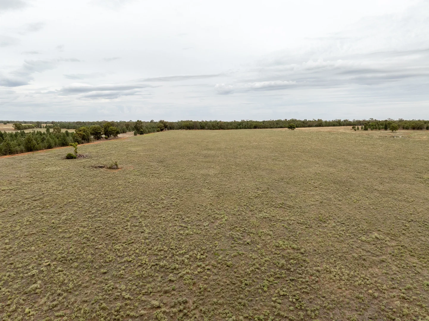 Additional image 7 of Barellan Road, Narrandera NSW 2700