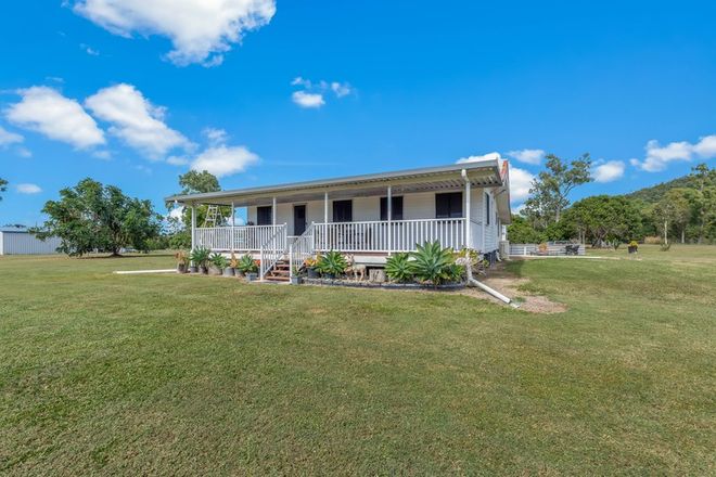 Picture of 1358 Midge Point Road, MIDGE POINT QLD 4799